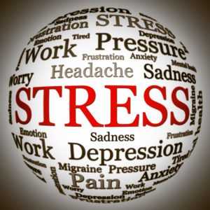 Breaking the Stress Cycle