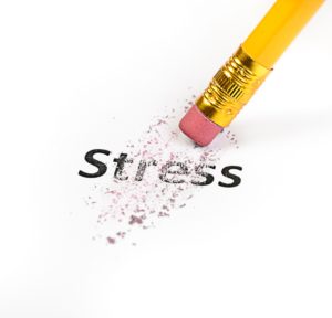 Breaking the Stress Cycle