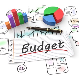 Budget Ideas
