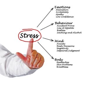 Effects of Stress On The Body