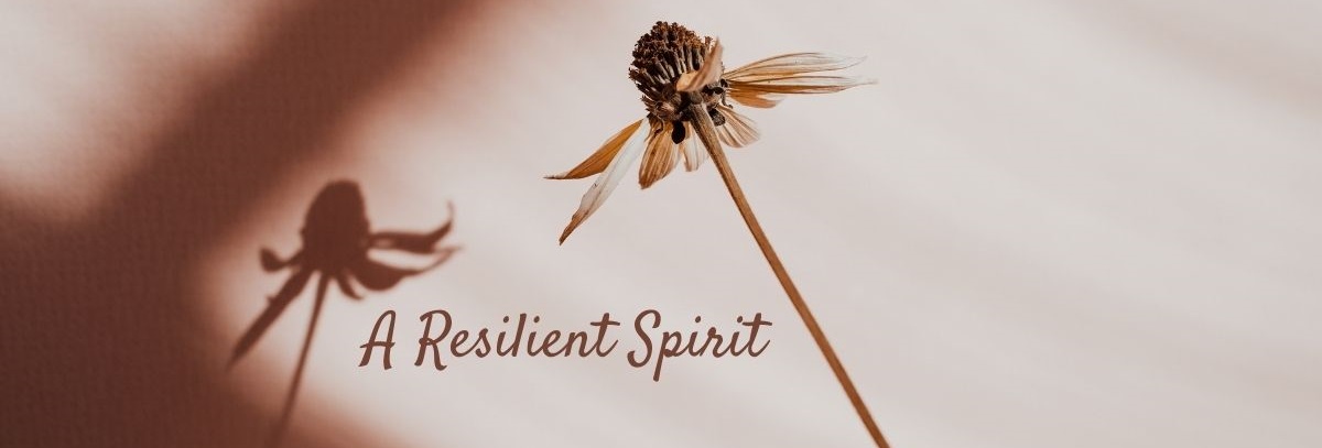 Build A Resilient Spirit
