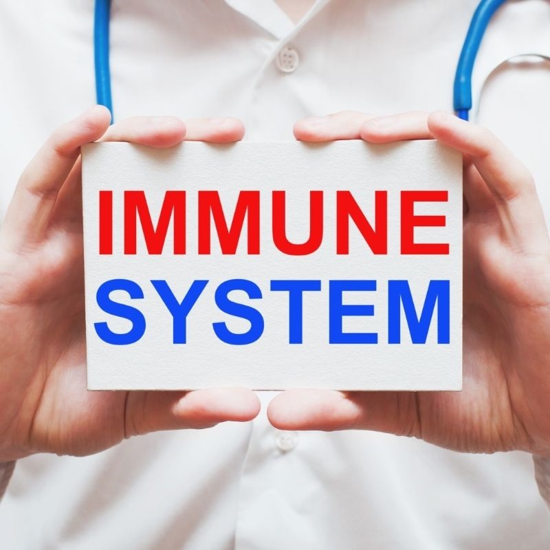Maximize Your Immunity