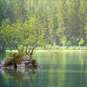 maintaining calm