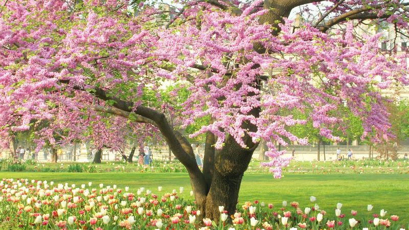 Hope Gives You Strength