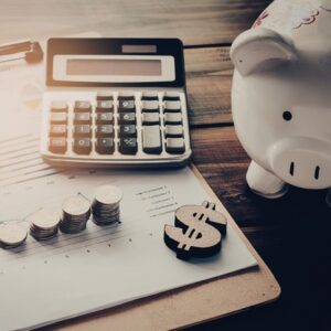 track of your household budget